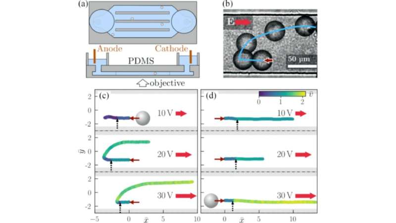 Scientists demonstrate control over artificial swimmers using electric fields