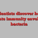 Scientists discover how innate immunity envelops bacteria