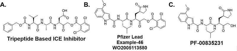 Scientists discover novel series of SARS-CoV-2 Mpro inhibitors for potential new COVID-19 treatments