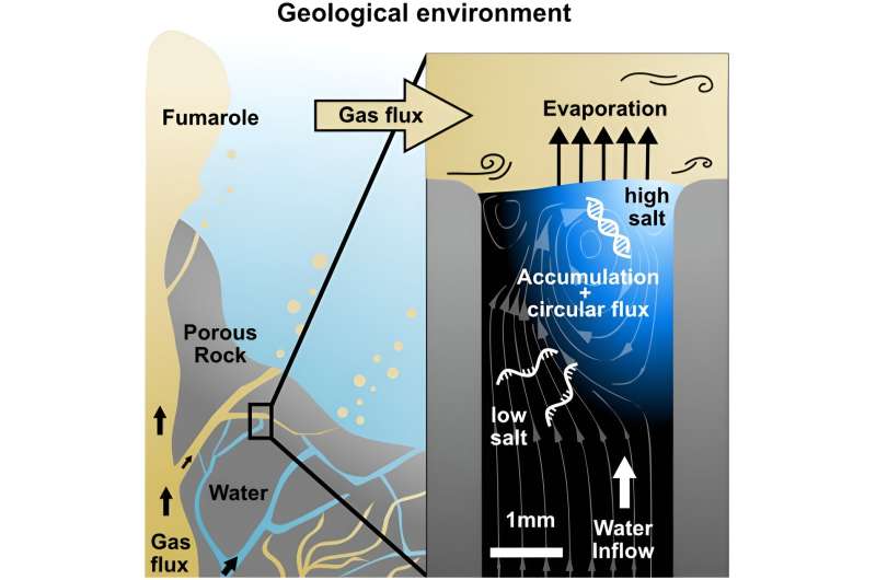 Scientists find plausible geological setting that may have sparked life on Earth