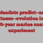 Scientists predict—and witness—evolution in a 30-year marine snail experiment