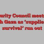 Security Council meets on north Gaza as ‘supplies for survival’ run out