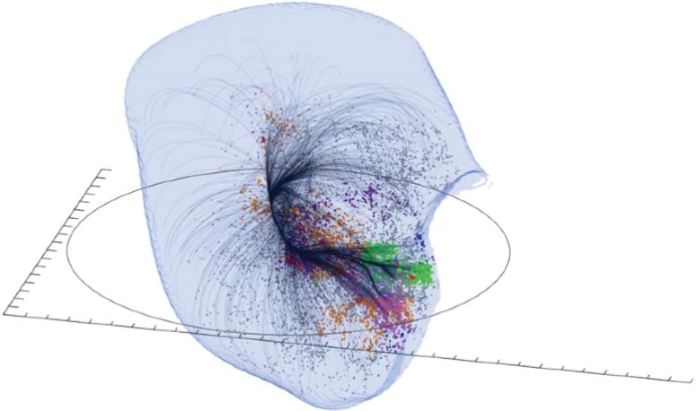 Laniākea Supercluster of Galaxies