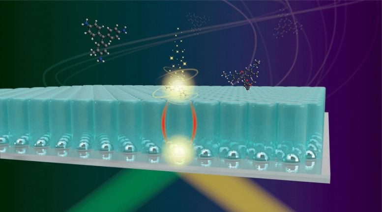 Long-Range Interaction Between Metal Nanoparticles and Target Molecules