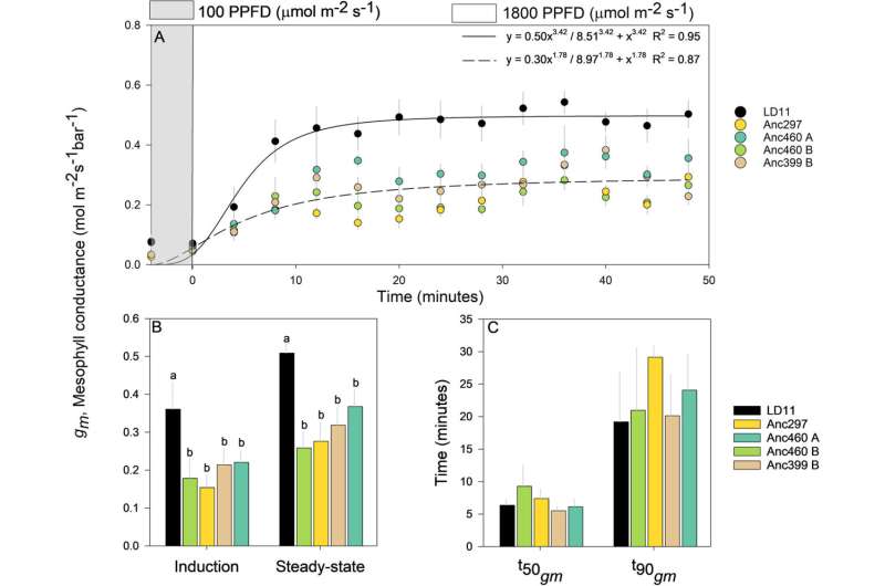 Mesophyll conductance doubles in soybean domestication