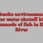 State backs environmentalists after water shutoff kills thousands of fish in Kern River