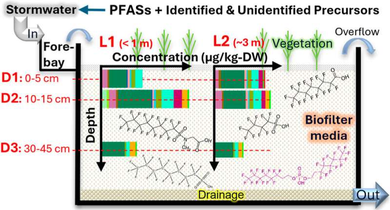 High occurrence of PFAS in biofilters for stormwater treatment