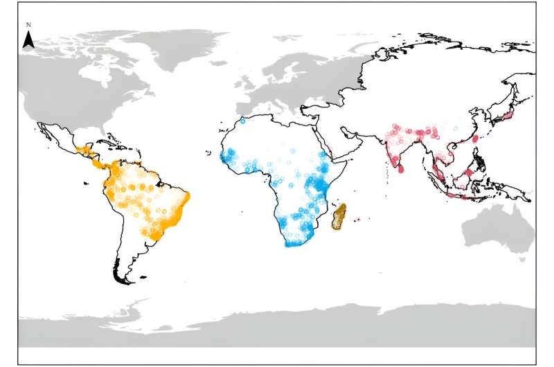 Study of global primate populations reveals those most at risk of extinction due to global warming