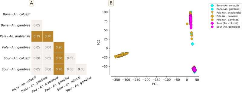 Study of wild type mosquitoes in Burkina Faso discovers new signs of insecticide resistance