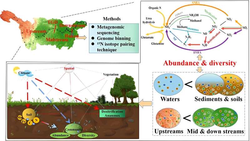 Study reveals relationship between nitrogen-cycling microbial communities and nitrogen removal