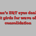 Sweden’s EQT eyes deal push as it girds for wave of PE consolidation