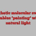 Synthetic molecular switch enables ‘painting’ with natural light