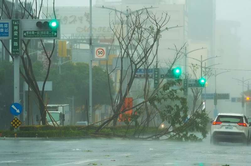 A car drives past a fallen tree as Typhoon Krathon nears Kaohsiung on October 3