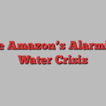 The Amazon’s Alarming Water Crisis