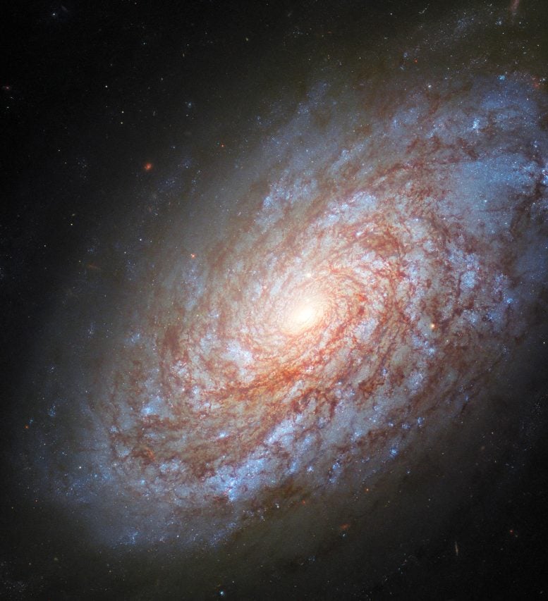 Spiral Galaxy NGC 4414