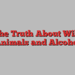 The Truth About Wild Animals and Alcohol