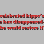 The celebrated hippo’s real home has disappeared—will the world restore it?