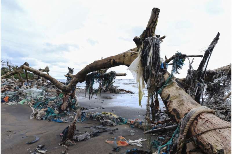 The production of plastic has increased 230-fold since the 1950s, according to the Organization for Economic Cooperation and Development (OECD)