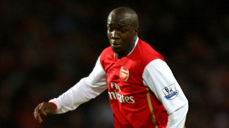 during the Barclays Premier League match between Arsenal and Wigan Athletic at the Emirates Stadium on November 24, 2007 in London, England.