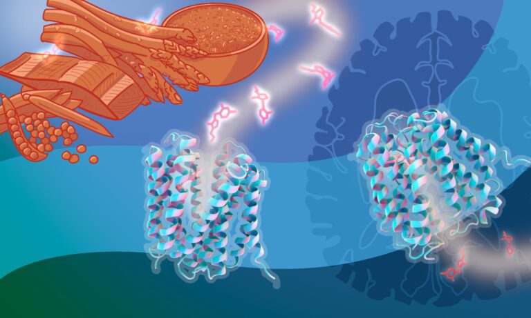 How Common Drugs May Be Starving Your Brain