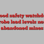 UK food safety watchdog to probe lead levels near abandoned mines