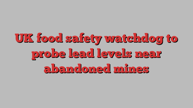 UK food safety watchdog to probe lead levels near abandoned mines