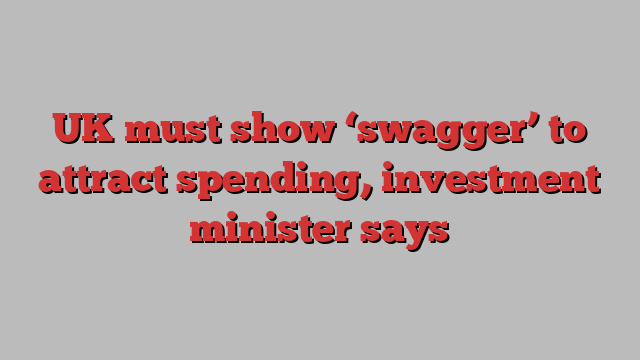 UK must show ‘swagger’ to attract spending, investment minister says