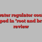 UK water regulator could be scrapped in ‘root and branch’ review