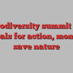 UN biodiversity summit hears appeals for action, money to save nature