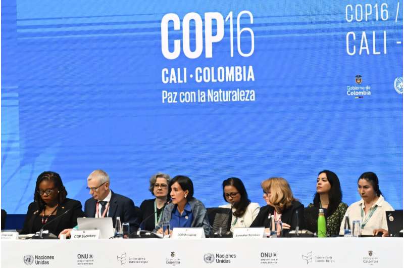 The COP16 biodiversity conference opened in Cali with Colombia's Environment Minister Susana Muhamad (C) taking over the presidency