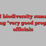 UN biodiversity summit making ‘very good progress’: officials