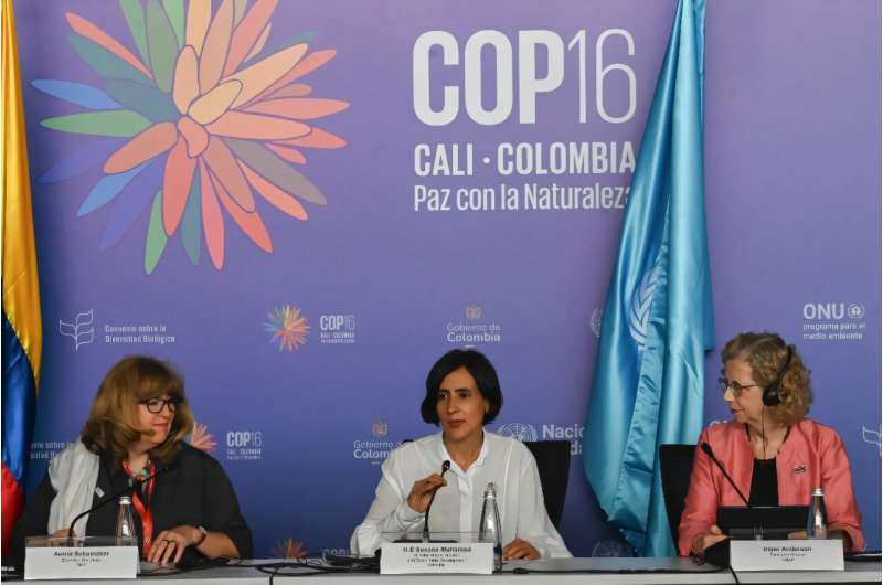 Colombian Environment Minister and COP16 president Susana Muhamad (C) reported 'very good progress' in UN biodiversity talks