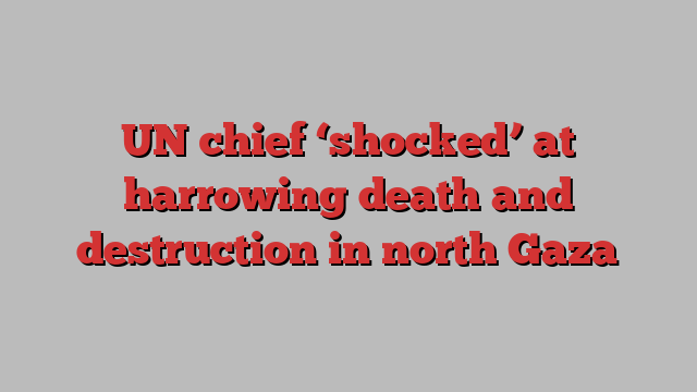 UN chief ‘shocked’ at harrowing death and destruction in north Gaza