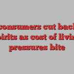 US consumers cut back on spirits as cost of living pressures bite