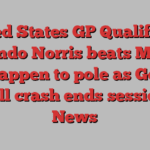 United States GP Qualifying: Lando Norris beats Max Verstappen to pole as George Russell crash ends session | F1 News