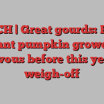 WATCH | Great gourds: P.E.I.'s giant pumpkin growers nervous before this year's weigh-off