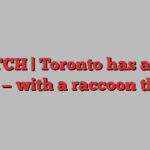 WATCH | Toronto has a new park — with a raccoon theme