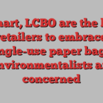 Walmart, LCBO are the latest retailers to embrace single-use paper bags. Environmentalists are concerned