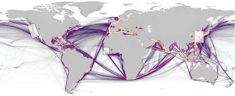 Whale sharks on collision course as warming seas may force them into shipping lanes – new study