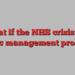 What if the NHS crisis is a classic management problem?