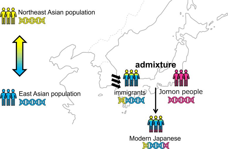 Roots of Immigration to the Japanese Archipelago