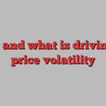 Who and what is driving oil price volatility