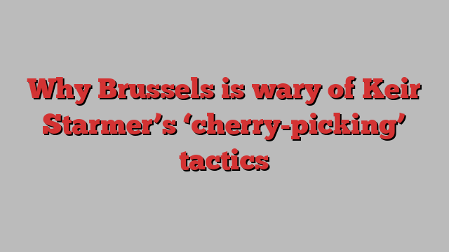 Why Brussels is wary of Keir Starmer’s ‘cherry-picking’ tactics