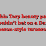 Why this Tory beauty pageant shouldn’t bet on a David Cameron-style turnaround