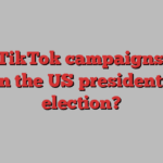 Will TikTok campaigns help win the US presidential election?