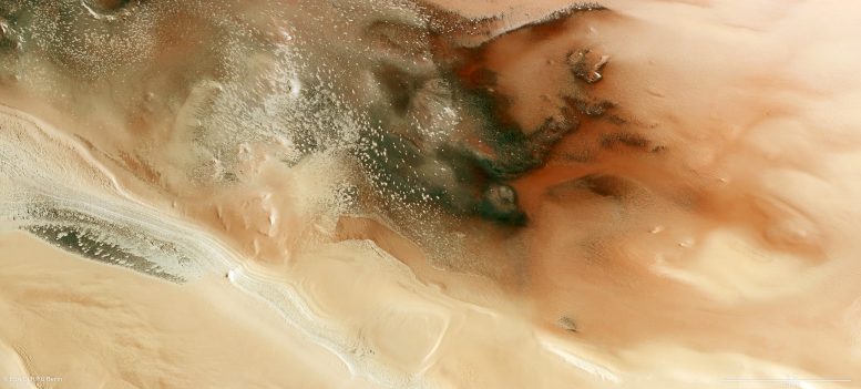 Cryptic Terrain in Australe Scopuli on Mars