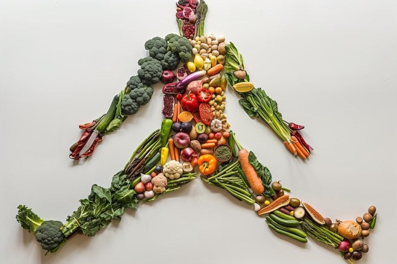 Food Health Mapping Art Concept