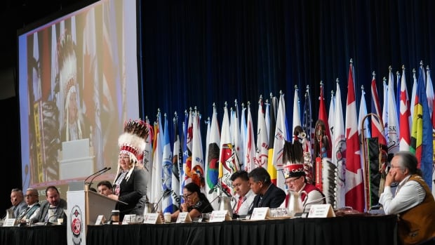 First Nations vote down resolution to endorse $47.8B child welfare reform offer