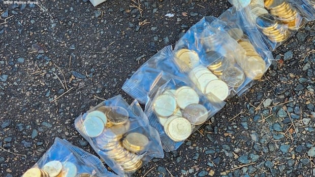 40,000 stolen coins based on children’s TV series Bluey recovered in Australia