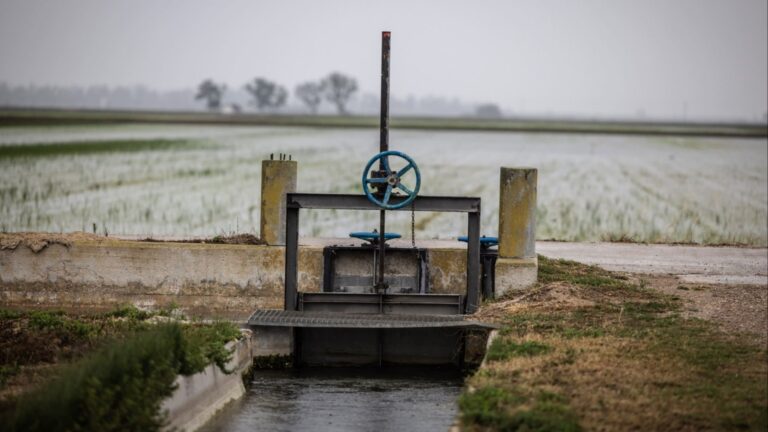 Almost two-thirds of EU water in bad condition, report shows